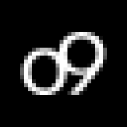 o9 Solutions, Inc.